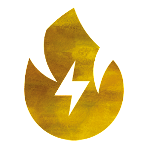 flamma 300x300
